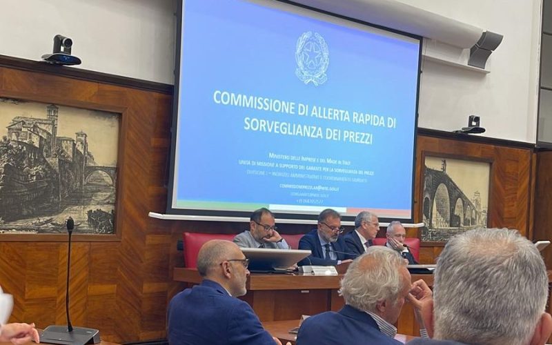 Riunione commissione allerta rapida