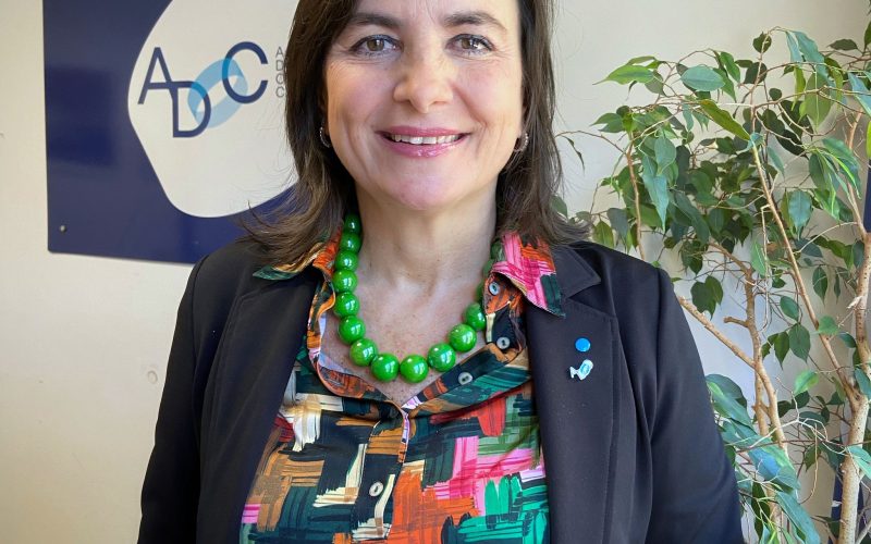 Pulcini vicepresidente Forum Ania